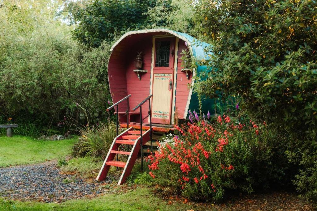 Pekapeka Tiny House Villa Owaka Exterior photo